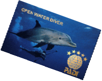 Kurs des Monats - Open Water Diver (OWD), Standard